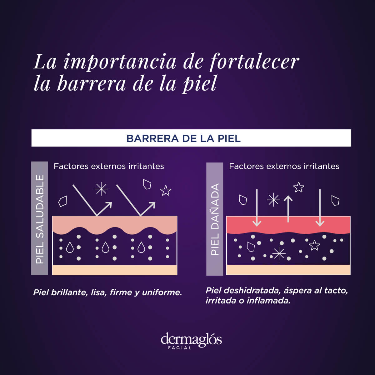 Dermagl&oacute;s Facial Serum Ecto&iacute;na 30 ml image number 9