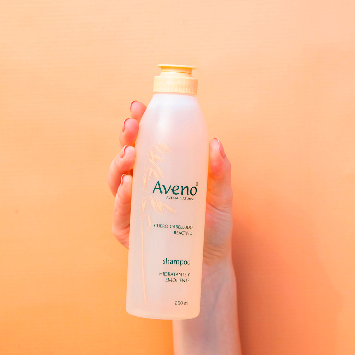 Aveno Shampoo de Uso Diario 250 ml image number 6